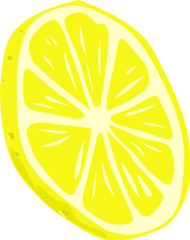 lemon slice 03