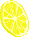 lemon slice 03