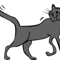 grey-cat