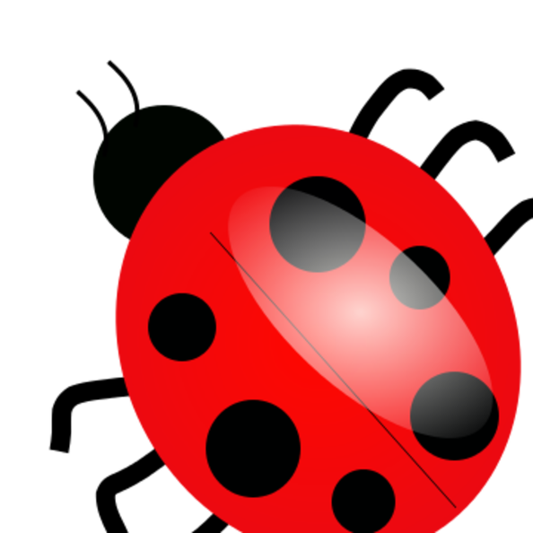 ladybug_01.png