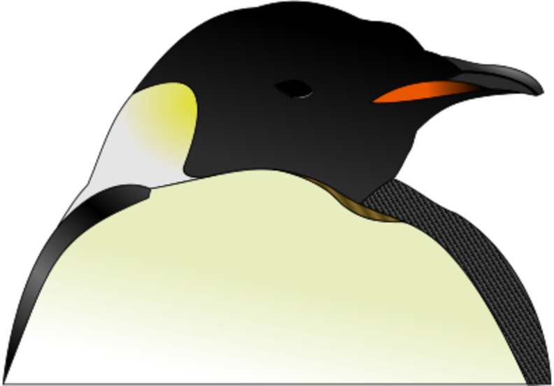 penguin head