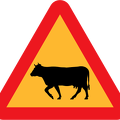 cattle-crossing