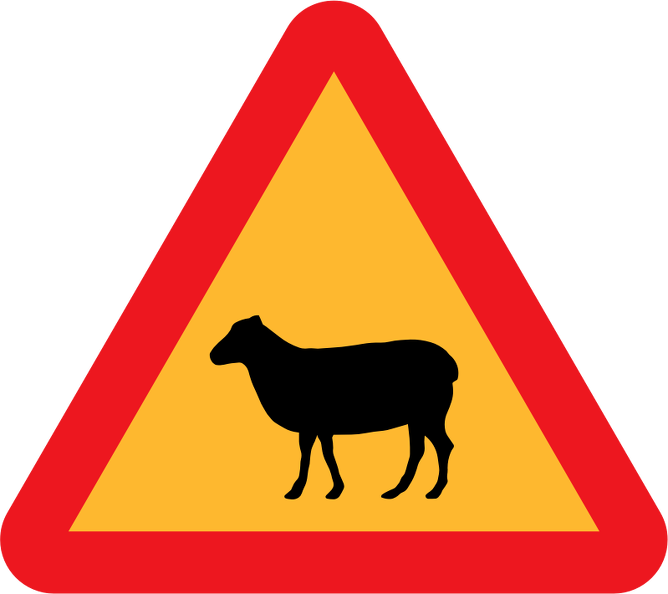 sheep-warning