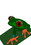 red-eye frog