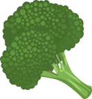 broccoli4
