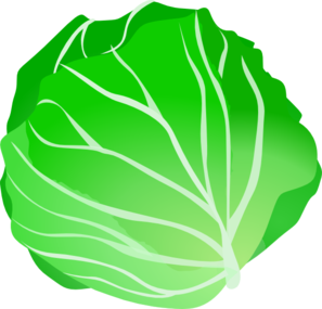 cabbage3.png