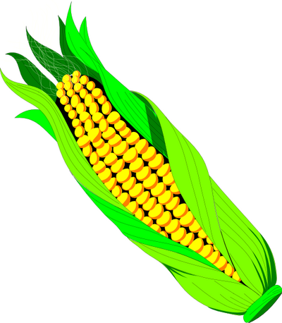 corn-in-husk