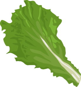 green-leaf.png