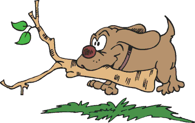 dog-with-branch