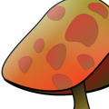 mushroom_benji_park_.png
